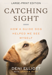 Catching Sight (LARGE PRINT EDITION) 