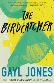 The Birdcatcher 