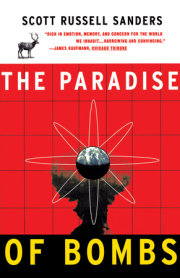 Paradise of Bombs 