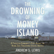 The Drowning of Money Island 