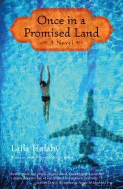 Once in a Promised Land 
