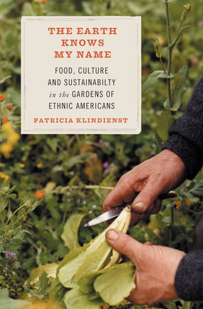 The Earth Knows My Name by Patricia Klindienst: 9780807085714