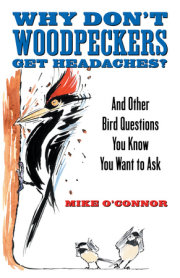 Why Don't Woodpeckers Get Headaches?