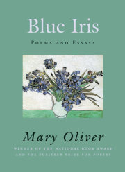 Blue Iris 