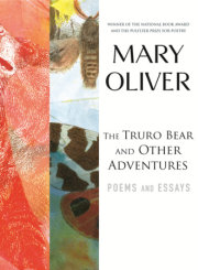 The Truro Bear and Other Adventures 
