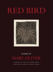 Red Bird 