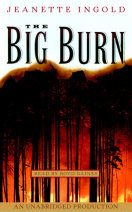 The Big Burn Cover