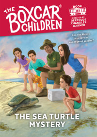 Book cover for The Sea Turtle Mystery