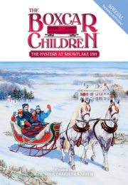 The Mystery at Snowflake Inn 