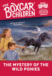 Book cover for The Mystery of the Wild Ponies