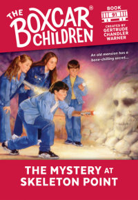 Book cover for The Mystery at Skeleton Point