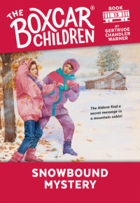 Book cover for Snowbound Mystery