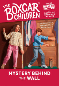 Cover of Mystery Behind the Wall cover