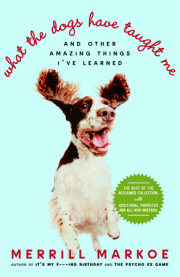What the Dogs Have Taught Me 