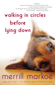 Walking in Circles Before Lying Down 