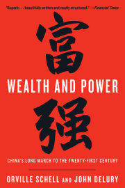 Wealth and Power 