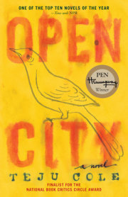 Open City 