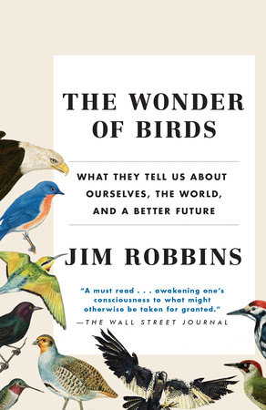 The Wonder of Birds