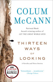 Thirteen Ways of Looking 