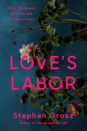 Love's Labor 