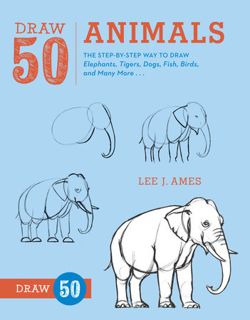 Draw 50 Animals by Lee J. Ames: 9780823085781 :  Books
