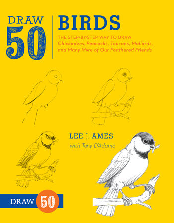 Draw 50 Birds by Lee J. Ames, Tony D'Adamo: 9780823085989 |  PenguinRandomHouse.com: Books