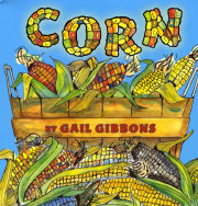 Corn 