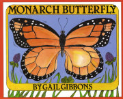 Monarch Butterfly 