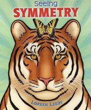 Seeing Symmetry 