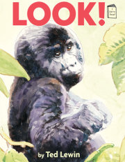 Look! 