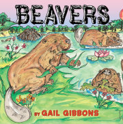 Beavers 