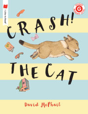 Crash! The Cat 