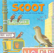 Scoot 