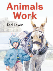 Animals Work 