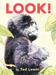 Look! 