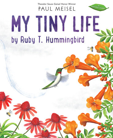 My Tiny Life by Ruby T. Hummingbird by Paul Meisel: 9780823443222 |  PenguinRandomHouse.com: Books