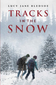 Tracks in the Snow 