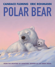 Polar Bear