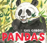 Pandas 