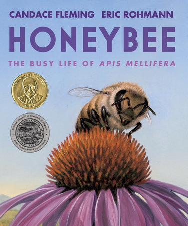 Picture Books about Bees