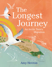 The Longest Journey 