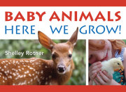 Baby Animals! 
