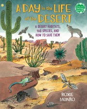 A Day in the Life of the Desert 