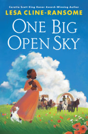 One Big Open Sky 