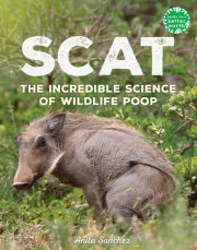 Scat 