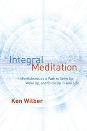 Integral Meditation 