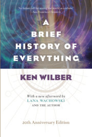 A Brief History of Everything 