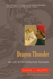 Dragon Thunder 