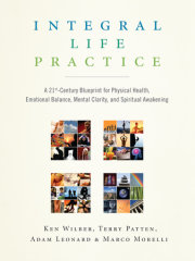 Integral Life Practice 