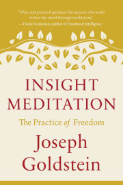 Insight Meditation 